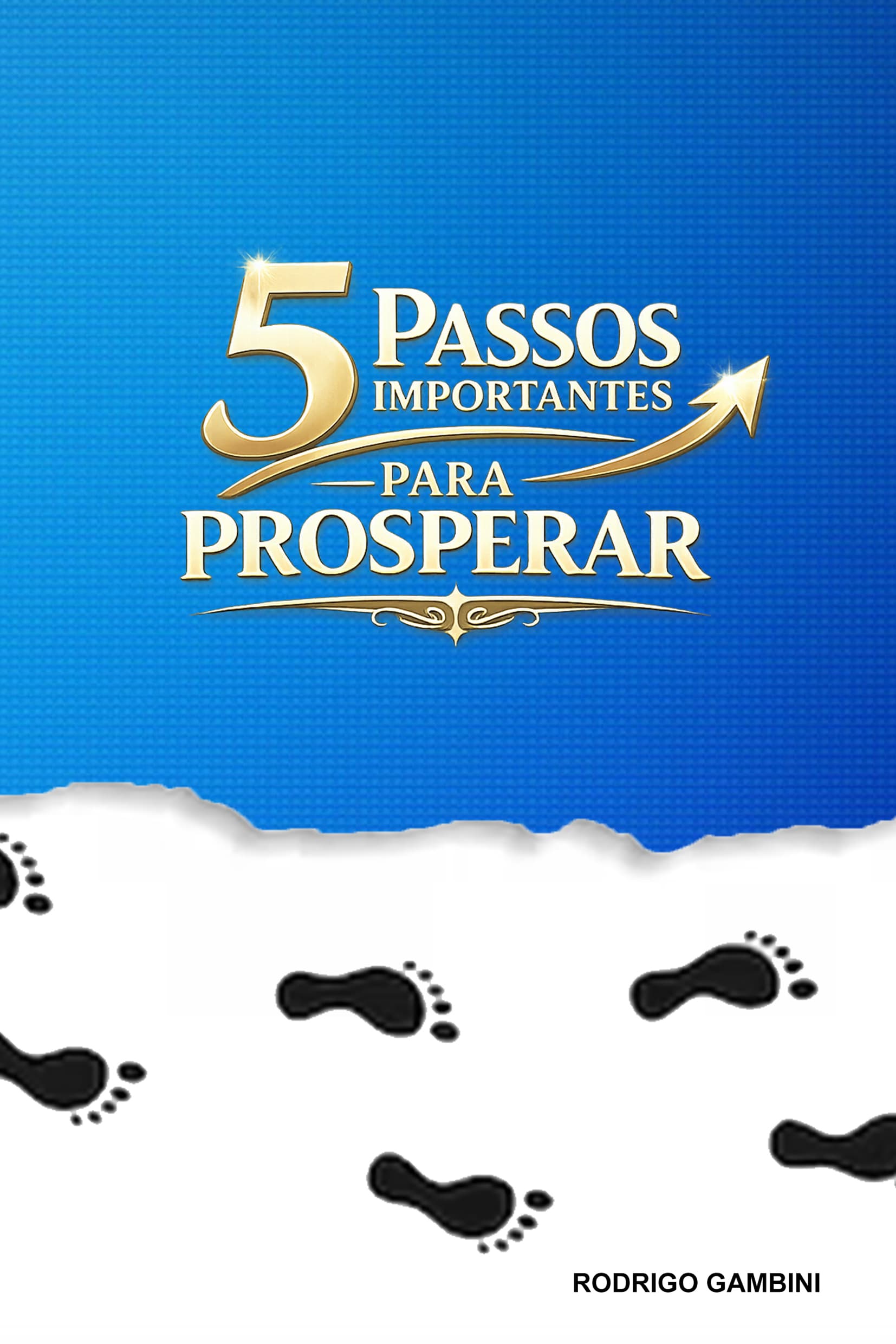 Cover of the book 5 Passos importantes para prosperar